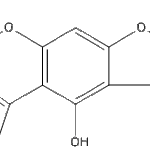 AflatoxinD1web