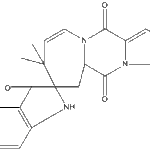 Austamideweb