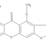 AustocystinAweb