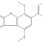 CandidusinAweb