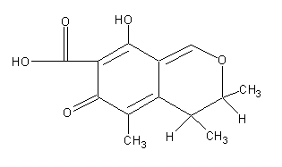 Citrininweb