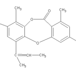 Dechloronidulinweb