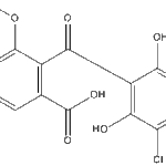 Erdinweb