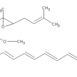 Fumagillinweb