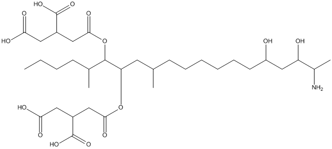 FumonisinB2web