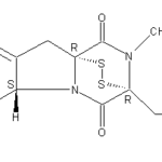 Gliotoxinweb