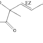 GregatinBweb