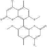 Kotaninweb
