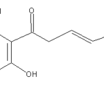 Maltoryzineweb