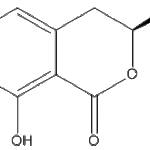 Mellein-Ochracinweb