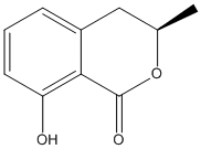Mellein-Ochracinweb Mellein-Ochracinweb