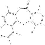 Nidulinweb