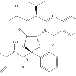 Nortryptoquivalineweb