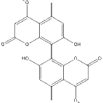 Orlandinweb