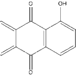 Pachybasinweb