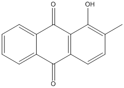 Pachybasinweb