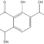 Parvulenoneweb