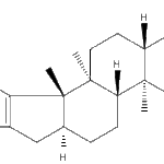 Paspalineweb