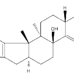 Paxillinweb