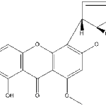 Sterigmatocystinweb