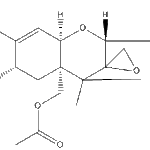 T-2Toxinweb
