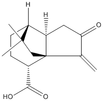 Terrecyclicacidweb