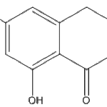 Terreinprecursorweb