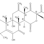 Terretoninweb