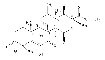 Terretoninweb Terretoninweb