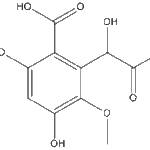 Usticacidweb