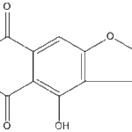 Versicoloroneweb