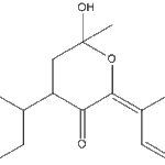 Warfarinmetabolite3web