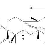 andibeninCweb