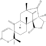 dehydroaustinweb