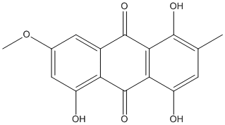 erythroglaucinweb erythroglaucinweb