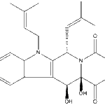 fumitremorginBweb