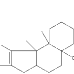 paspalinineweb