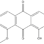 questinweb