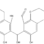silvaticamideweb