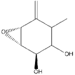 terremutinweb