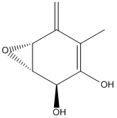 terremutinweb