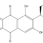 versiconolweb