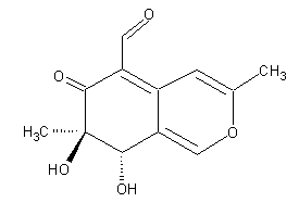Austdiol_-_web