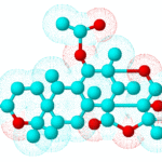 Austinweb3D
