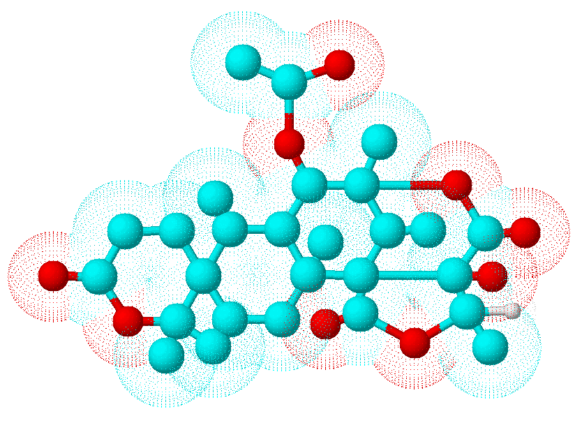 Austinweb3D
