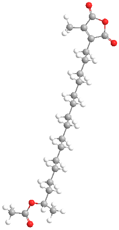 Citraconicanhydridederivativeweb3D