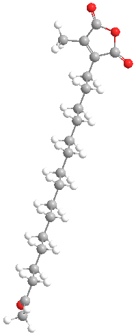 Citraconicanhydridemetabolite1web3D