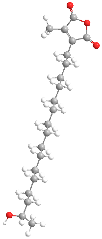 Citraconicanhydridemetabolite2web3D