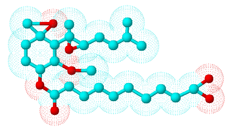 Fumagillinweb3D