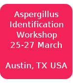 IDWorkshop